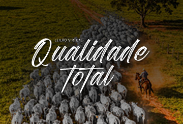 LEILÃO VIRTUAL QUALIDADE TOTAL